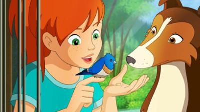 Lassie: Im Schneesturm