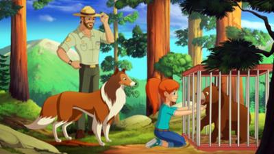 Lassie: Das Bärenjunge