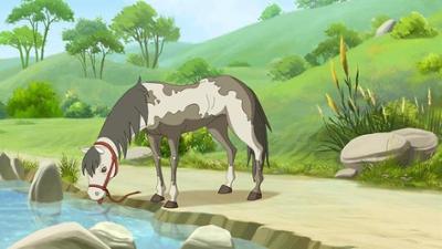 Lenas Ranch: 23. Jazzy