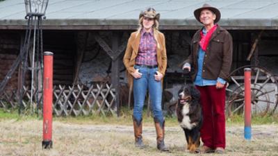 Löwenzahn: Pferde - Sheriff von Bärstadt