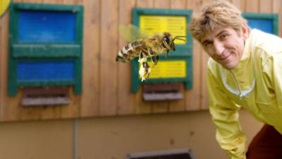 Löwenzahn: Bienen - Der Raub der Honigmacher