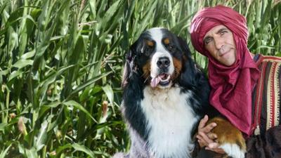 Löwenzahn: Mais - Der Schwindel im Labyrinth