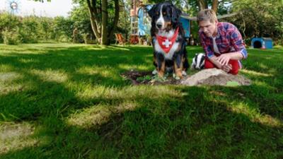 Löwenzahn: Dachs - Diebesgut im Elchwinkel