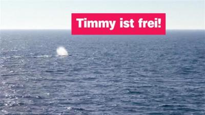 logo!: vom Samstag, 2. Mai 2026