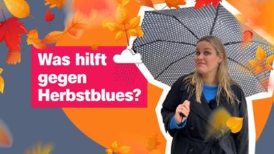 logo!: vom Donnerstag, 6. November 2025