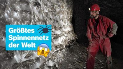 logo!: vom Samstag, 8. November 2025