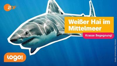 logo!: vom Dienstag, 9. Juni 2026