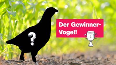 logo!: vom Donnerstag, 9. Oktober 2025