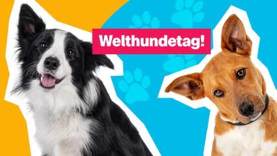 logo!: vom Freitag, 10. Oktober 2025 logo!: vom Freitag, 10. Oktober 2025