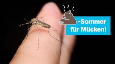 logo!: vom Sonntag, 13. September 2026