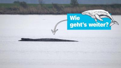 logo!: vom Dienstag, 14. April 2026