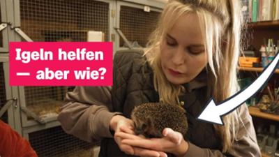 logo!: vom Donnerstag, 16. Oktober 2025
