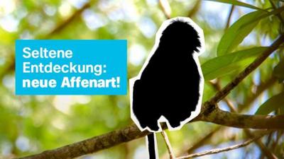 logo!: vom Freitag, 17. Juli 2026