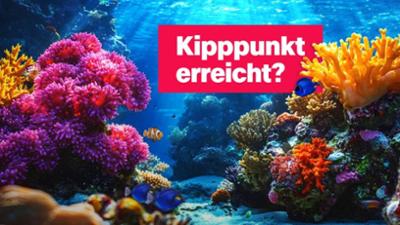 logo!: vom Freitag, 17. Oktober 2025