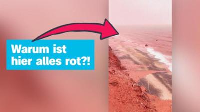 logo!: vom Freitag, 19. Dezember 2025