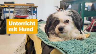 logo!: vom Mittwoch, 20. Mai 2026