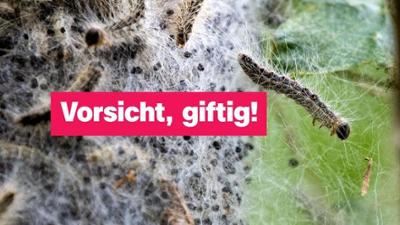 logo!: vom Samstag, 23. Mai 2026