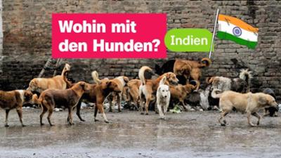 logo!: vom Samstag, 23. August 2025 logo!: vom Samstag, 23. August 2025