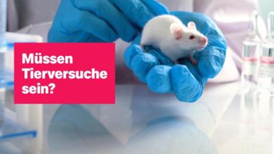 logo!: vom Freitag, 24. April 2026