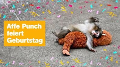 logo!: vom Samstag, 25. Juli 2026