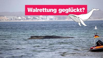 logo!: vom Donnerstag, 26. März 2026