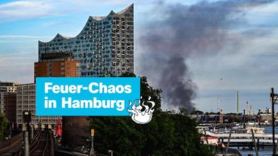 logo!: vom Dienstag, 26. August 2025 logo!: vom Dienstag, 26. August 2025