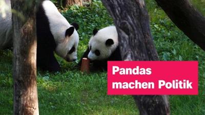 logo!: vom Sonntag, 27. September 2026