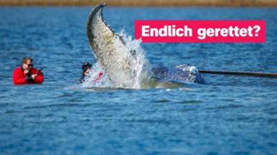 logo!: vom Dienstag, 28. April 2026