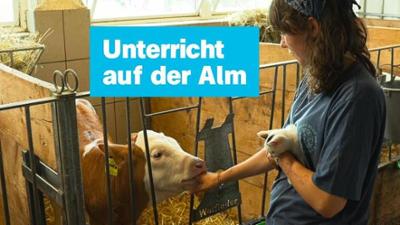 logo!: vom Dienstag, 28. Juli 2026