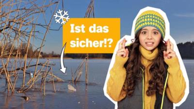 logo!: vom Sonntag, 28. Dezember 2025