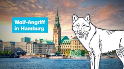 logo!: vom Dienstag, 31. März 2026