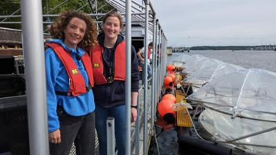 neuneinhalb: Der Ozean als Klimaretter?