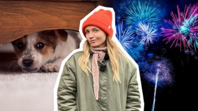 neuneinhalb: Feuerwerk an Silvester: Geht's auch anders?