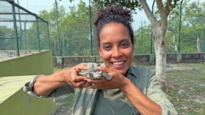Pia und die wilde Natur: Magische Mangroven Pia und die wilde Natur: Magische Mangroven