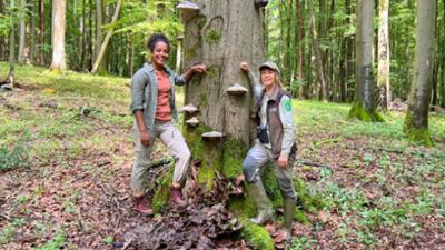 Pia und die wilde Natur: Was versteckt sich im Buchenwald?