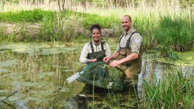 Pia und die wilde Natur: Was Gold und Drachen im Garten machen