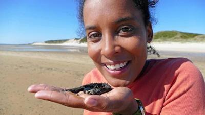 Pia und die wilde Natur: Was geht ab im Wattenmeer?