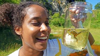 Pia und die wilde Natur: Wunderwelt Pfütze