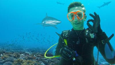 PUR+: Eric taucht mit Haien