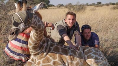 PUR+: in Afrika: Eric rettet Giraffen