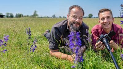 PUR+: Wunderwelt Wiese