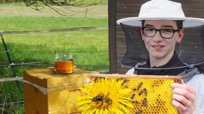 PUR+: Bienen for Future