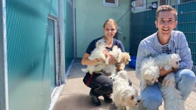 PUR+: Die Haustier-Retter