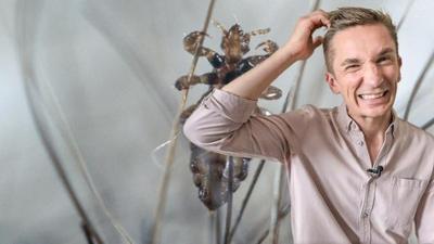 PUR+: Läuse, Wanzen, Zecken - wen juckt's?