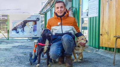 PUR+: Eric rettet die Straßenhunde