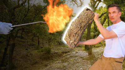 PUR+: Die Superkräfte der Bäume PUR+: Die Superkräfte der Bäume