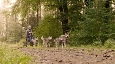 Schau in meine Welt: Fanny-Mo - unter Huskys