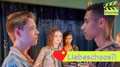 Schloss Einstein: Crushs, Drama & Chaos