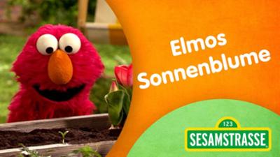 Sesamstraße: Elmos Sonnenblume