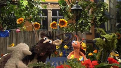 Sesamstraße präsentiert: Eine Möhre für Zwei: Schwere Entscheidung